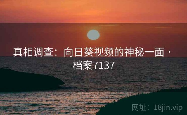真相调查：向日葵视频的神秘一面 · 档案7137