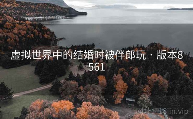 虚拟世界中的结婚时被伴郎玩 · 版本8561