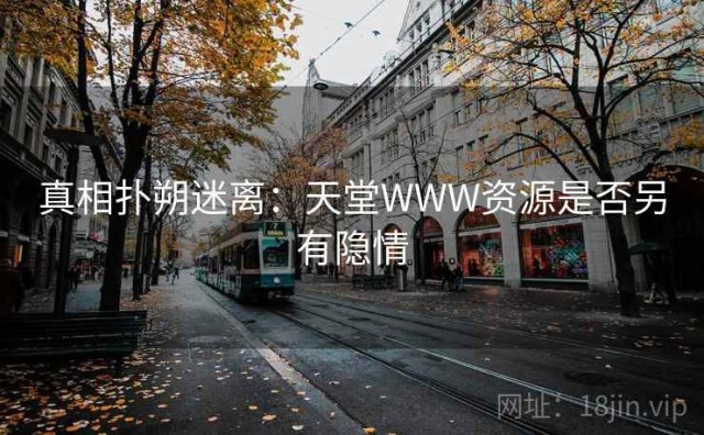 真相扑朔迷离：天堂WWW资源是否另有隐情