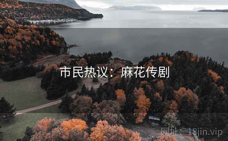 市民热议：麻花传剧
