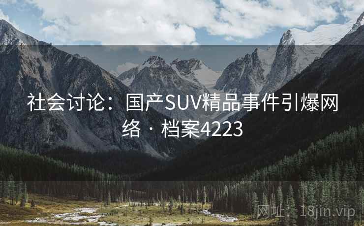 社会讨论：国产SUV精品事件引爆网络 · 档案4223