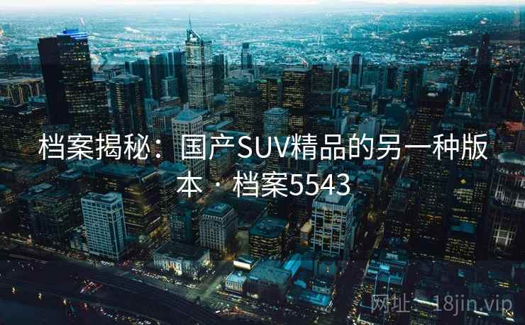 档案揭秘：国产SUV精品的另一种版本 · 档案5543