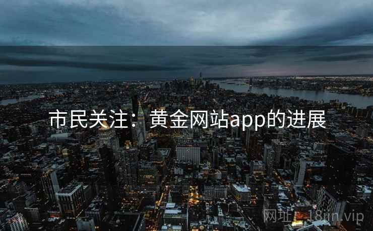 市民关注：黄金网站app的进展