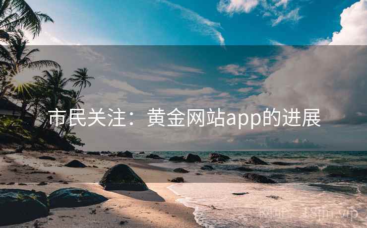 市民关注：黄金网站app的进展