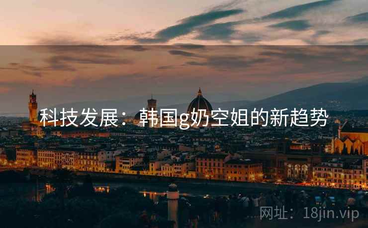 科技发展：韩国g奶空姐的新趋势